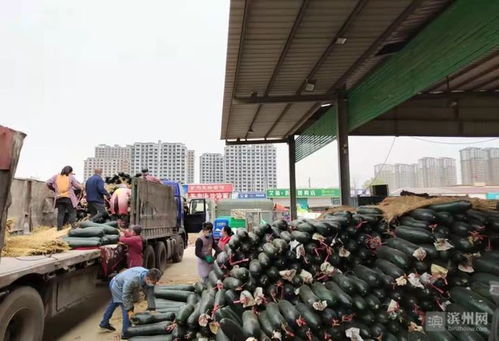 保供稳价惠民生，抗击疫情——滨州供销在行动